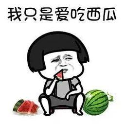 娱乐吃瓜酱有梗的人,梗王人生，笑谈娱乐圈风云