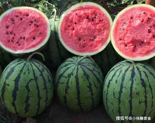吃瓜娱乐如果星星不说话,揭秘“如果星星不说话”的神秘魅力