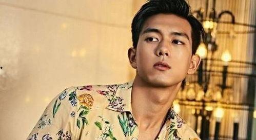 娱乐吃瓜老牌男星是谁呀,吃瓜群众热议的“老牌男星”究竟是谁?