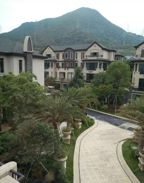 娱乐718吃瓜最新地址,独家地址大公开!